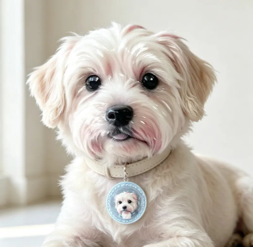Custom Pet Portrait Pendant - Made From Your Pet's Photo, Personalized Gift for Dogs & Cats(Free Shipping - main product view