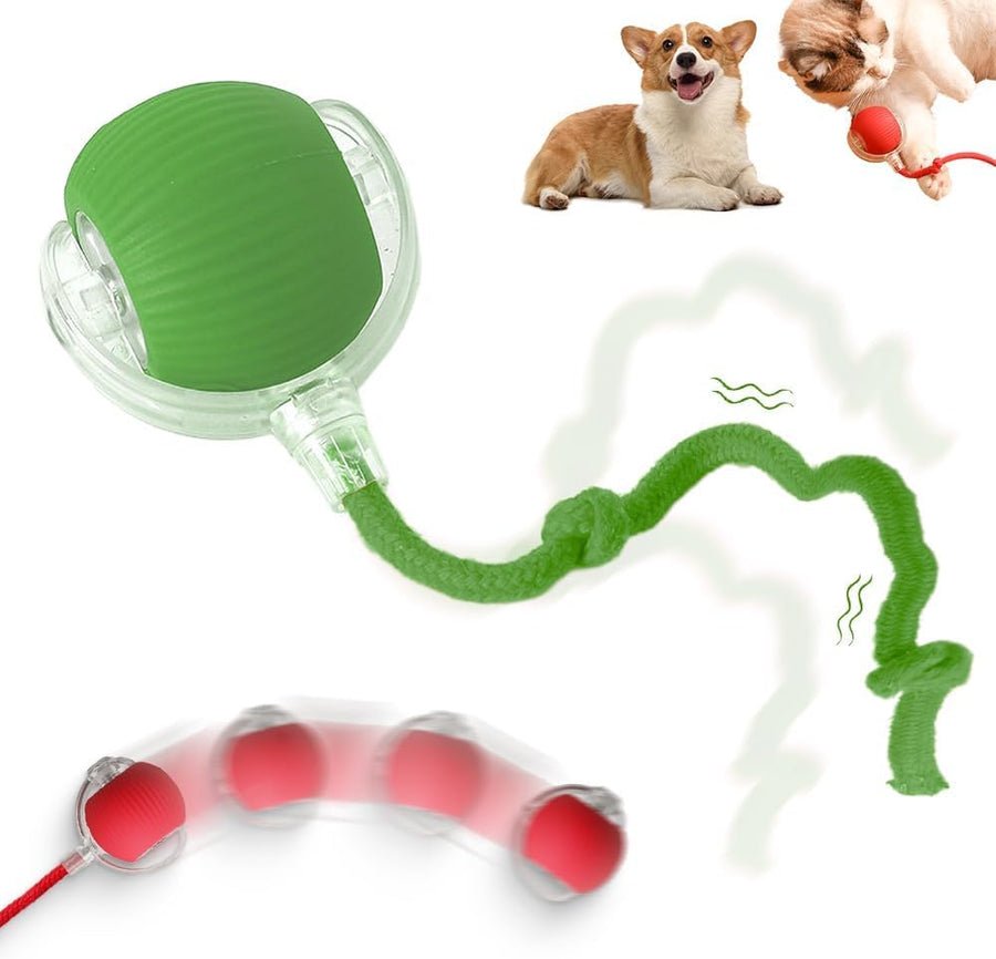 Interactive Electric Cat Toy - main product view